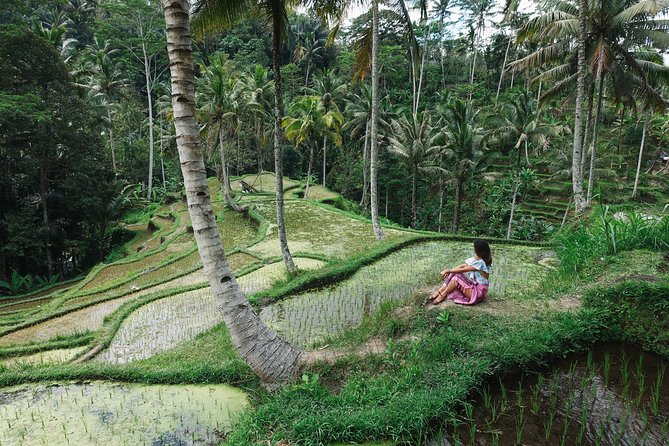 Private Bali Car Charter with Driver up to 6 People - Who this works best for