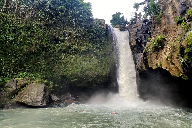 Private Bali Custom Tour – Full Day with English-Speaking Driver - Private Bali day from Ubud: comfort and control in one car