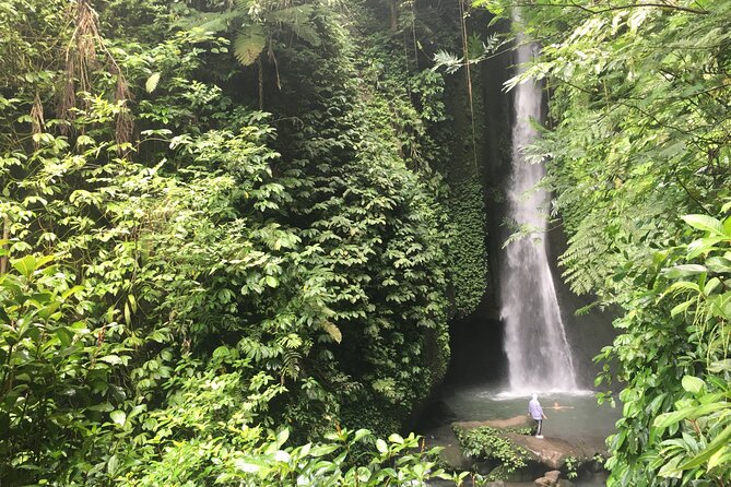 Private Bali Custom Tour – Full Day with English-Speaking Driver - Waterfalls you can build around: Ulu Petanu, Tibumana, Kanto Lampo, Tegenungan, Leke Leke, Banyumala, Tukad Cepung