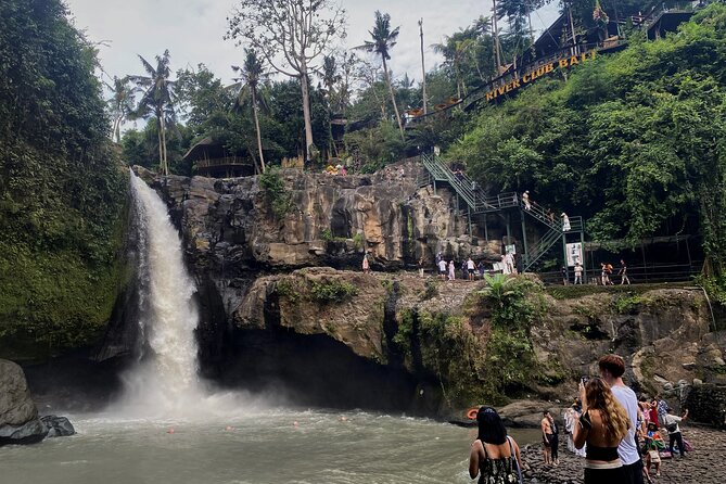 Private Bali Custom Tour – Full Day with English-Speaking Driver - Wildlife, bird parks, and village walks near Ubud