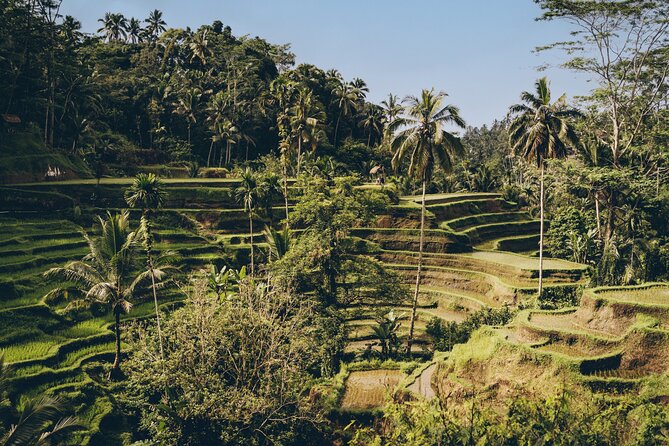 Private Bali Custom Tour – Full Day with English-Speaking Driver - Rice terraces and water gardens: Tegallalang, Mancingan, Sebatu