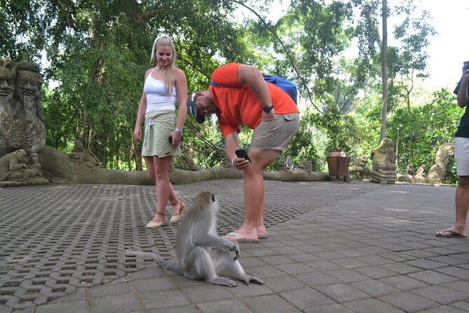 Private Bali Customized Tours - Ubud art market and Tegalalang rice terraces