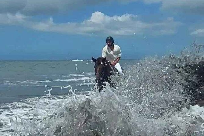 Private Bali Horse riding at saba beach - Timing matters more than you think: sunset vs midday