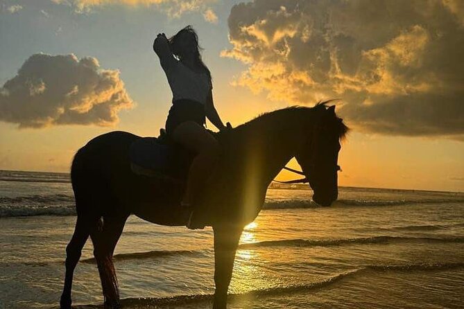 Private Bali Horse riding at saba beach - How the price stacks up for a private 1-hour ride