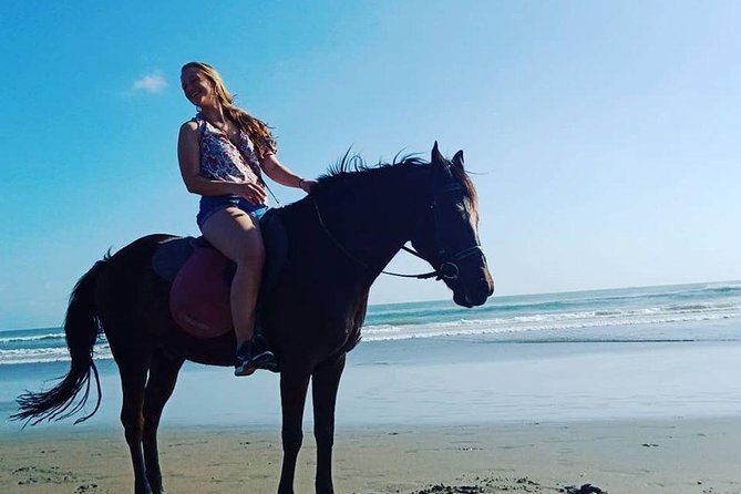 Private Bali Horse riding at saba beach - Where you meet and how the logistics feel in real life