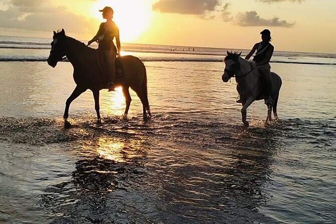 Private Bali Horse riding at saba beach - Who should book this horse ride (and who should pause)