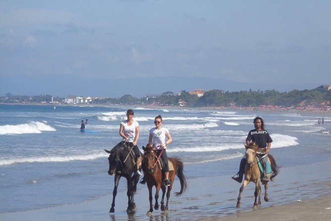 Private Bali Horse Riding In Seminyak Beach - Price and value in Seminyak: what $42.99 buys you