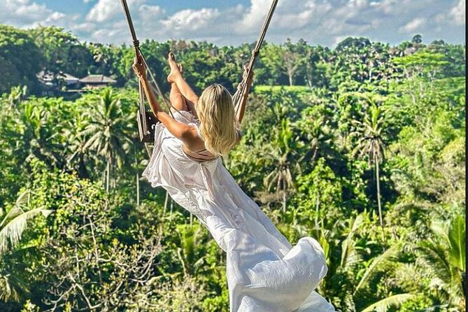 Private Bali Tour - All Inclusive - Stop-by-stop: Monkey Forest, Tegalalang, and Tirta Empul