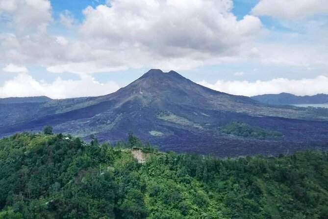 Private Bali Tour: Kintamani Volcano and Besakih Temple - Tegalalang Rice Terraces: A Fast, Scenic Hit in North Ubud
