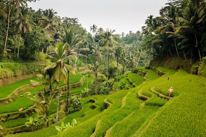 Private Bali Tour: Kintamani Volcano and Besakih Temple - Price and Logistics: Is $72 Good Value for This Route?