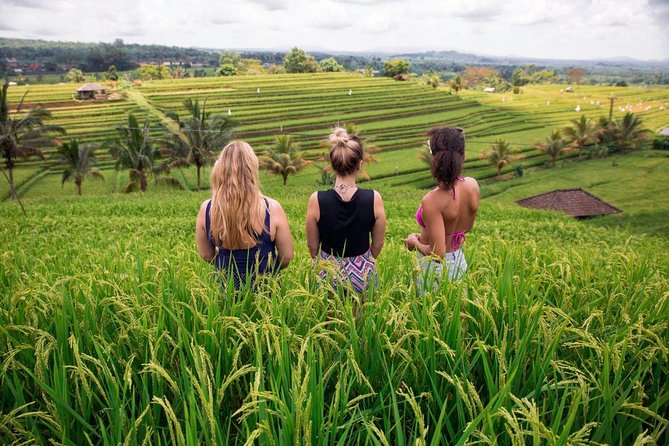 Private Bali Tour: The Most Scenic Places - Lunch Over the Rice Fields: The Hidden Quality of This Day