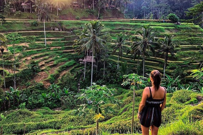 Private Bali Tour: Wonderful Ubud with Swing - Sacred Monkey Forest Sanctuary: Temple Setting Plus Real Monkey Energy
