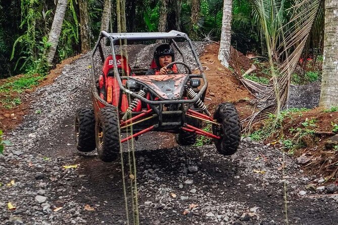 Private Bali UTV Adventure - Price and logistics: is $83.77 actually good value?