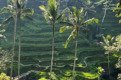 Private Car Charter Tour With Driver In Bali - What You’re Actually Paying For (And Why It Can Be Good Value)