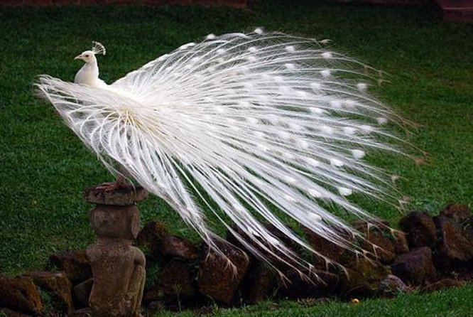Private Custom Tour: 10-hour Best of Bali Tour - Why this private, custom format is such a win in Bali
