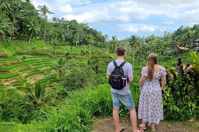 Private Customizable Bali Tour Visit with Transfer Included - Who This Bali Tour Fits Best
