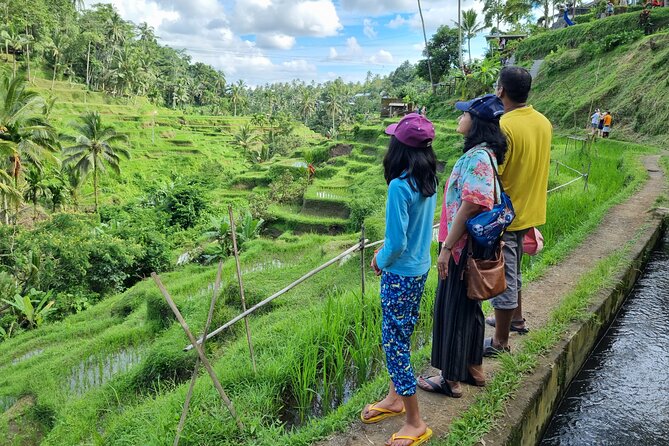 Private Customizable Bali Tour Visit with Transfer Included - What You Can Build Into Your Route (Jungle to Beaches)