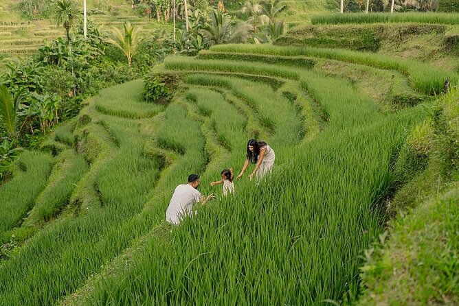 Private Customize Ubud Day Tour With Experienced Driver - Key highlights to know before you go
