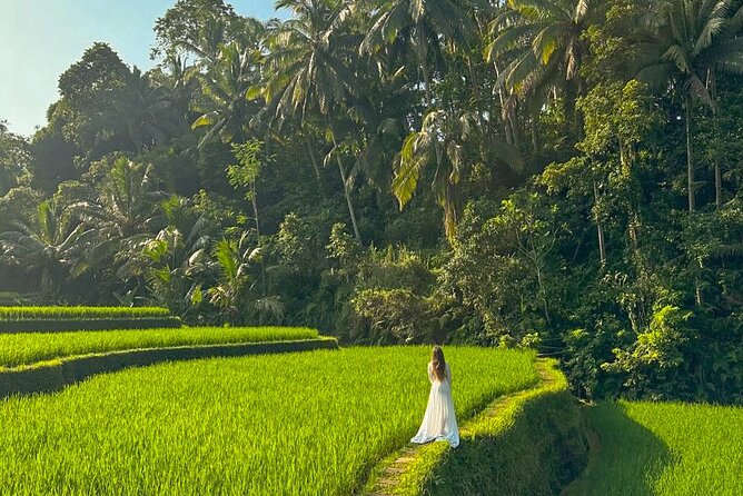 Private Customize Ubud Day Tour With Experienced Driver - Private 10-hour Ubud freedom: what you’re buying with $17