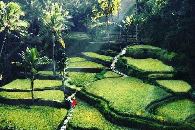 Private Customized Tour with Local Guide - How This Private Customized Day Works From Kuta