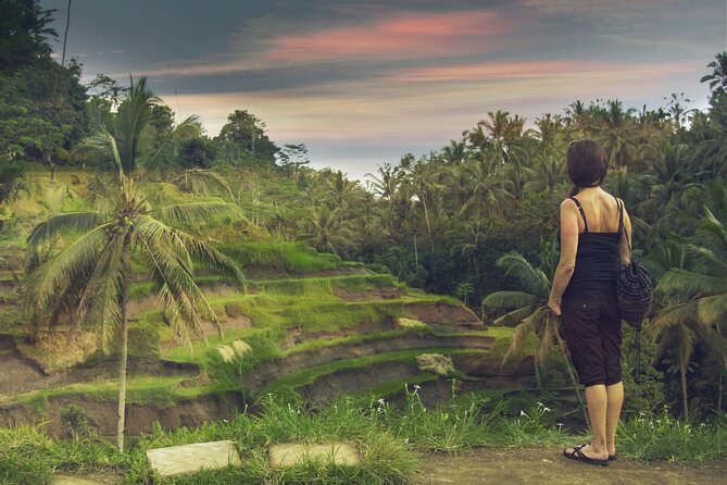Private Customized Trip to Ubud - Price and Logistics: What $29.08 Per Person Really Covers