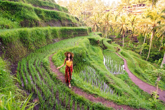 Private Day Tour: The Highlight of Ubud - Sacred Monkey Forest Sanctuary: Gray Macaques in a Temple Setting