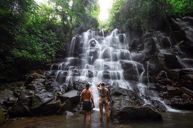 Private Day Tour To Waterfalls And Ubud Sightseeing - Key highlights you should know before you go