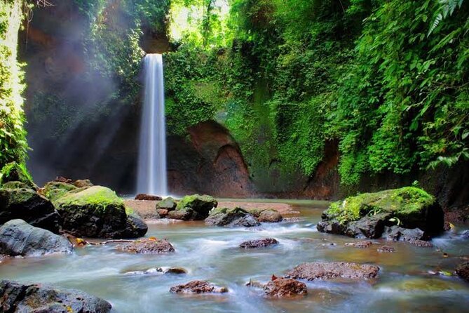 Private Day Tour To Waterfalls And Ubud Sightseeing - Tegalalang Rice Terrace: classic valley viewpoints with time to linger