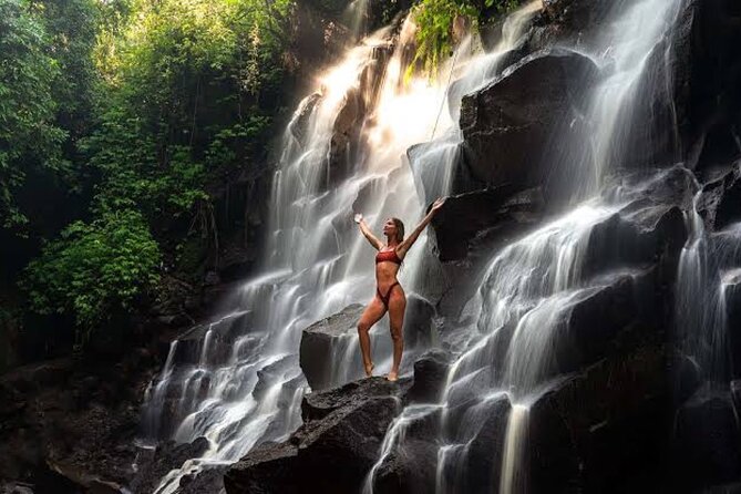 Private Day Tour To Waterfalls And Ubud Sightseeing - What you pay ($42) and what that gets you in practice