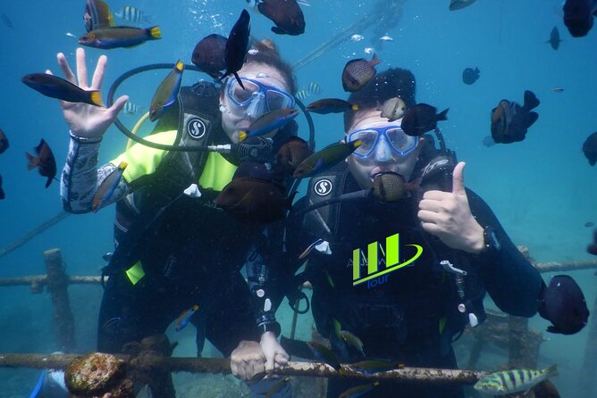 Private Diving Experience in Nusa Dua with Hotel Pick Up - Key highlights you’ll actually care about