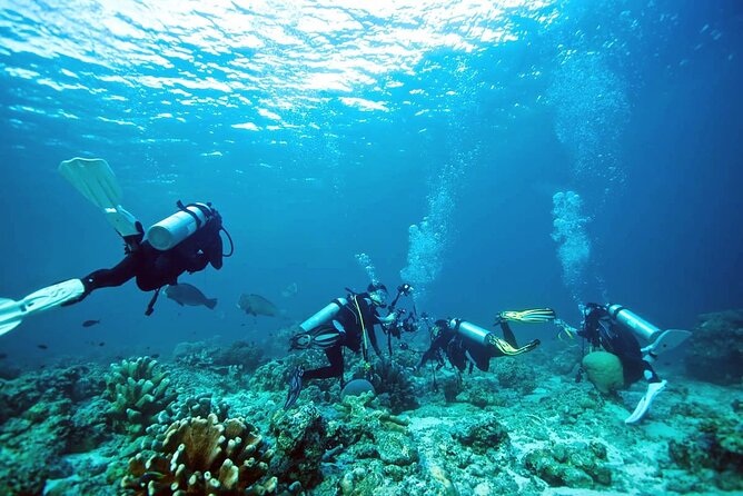 Private Diving Experience in Nusa Dua with Hotel Pick Up - Nusa Dua and Tanjung Benoa: Why this water setup works