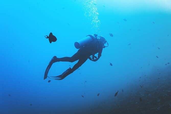 Private Diving Experience in Nusa Dua with Hotel Pick Up - Safety, health limits, and who should skip this