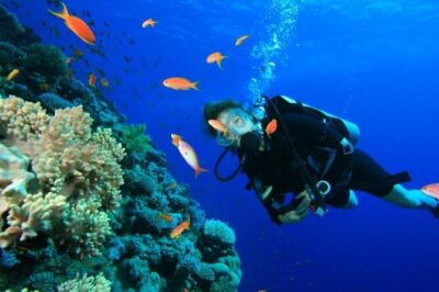 Private Diving Experience in Nusa Dua with Hotel Pick Up - Hotel pickup boundaries, and why your start time matters