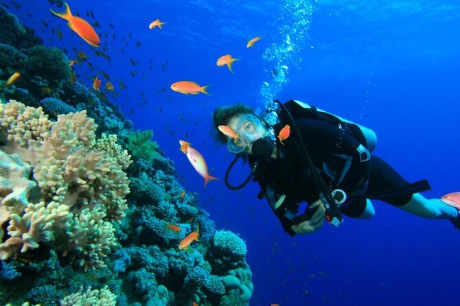 Private Diving Experience in Nusa Dua with Hotel Pick Up - Hotel pickup boundaries, and why your start time matters