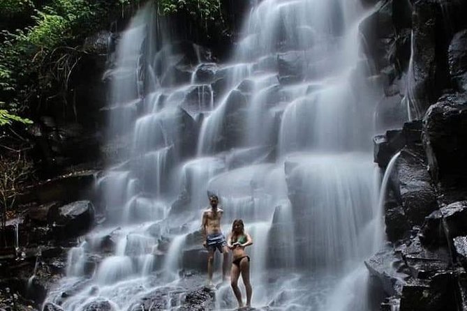 Private driver and tours - Designing your Ubud day: from rice terraces to waterfall time