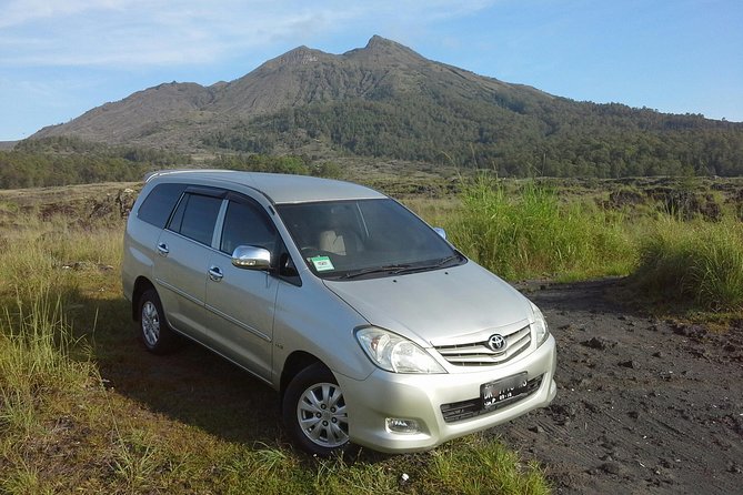 Private Driver in Bali with English Speaking - Key highlights from this Ubud driver day