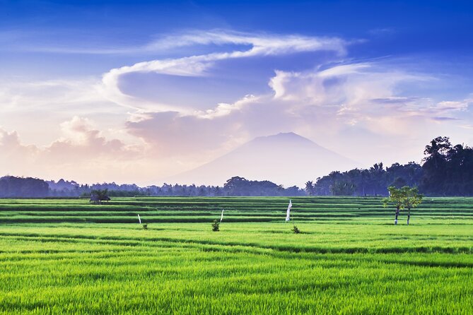 Private Experience: Bali Village Tour - Kintamani Highland: Batur volcano and a lunch-view reset
