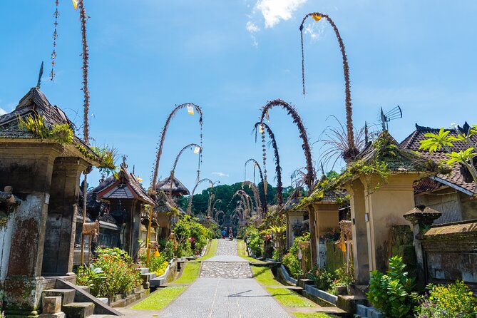 Private Experience: Bali Village Tour - Cycling through Jatiluwih rice terraces: the main event