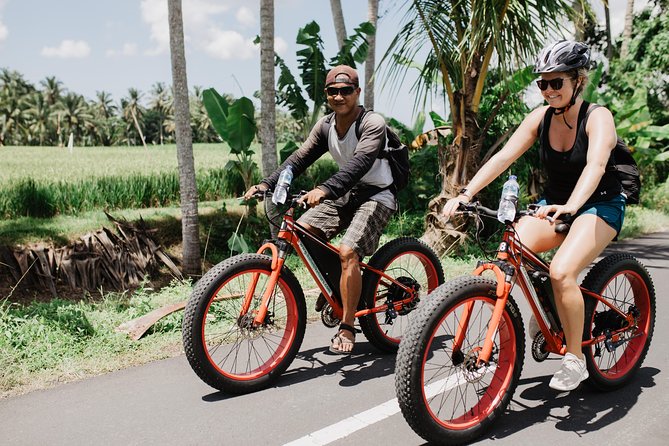 Private Fat Tire E-Bike Tour in Ubud - Route building in Ubud: Tegalalang Rice Terrace vs Campuhan Ridge