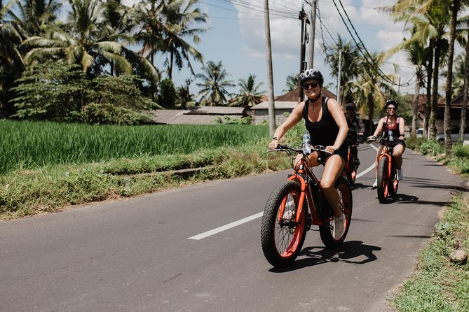 Private Fat Tire E-Bike Tour in Ubud - Culture along the way: temples and getting hands-on with rice life