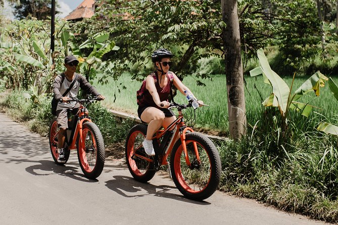 Private Fat Tire E-Bike Tour in Ubud - Timing and transfers: making 3–4 hours feel worth it