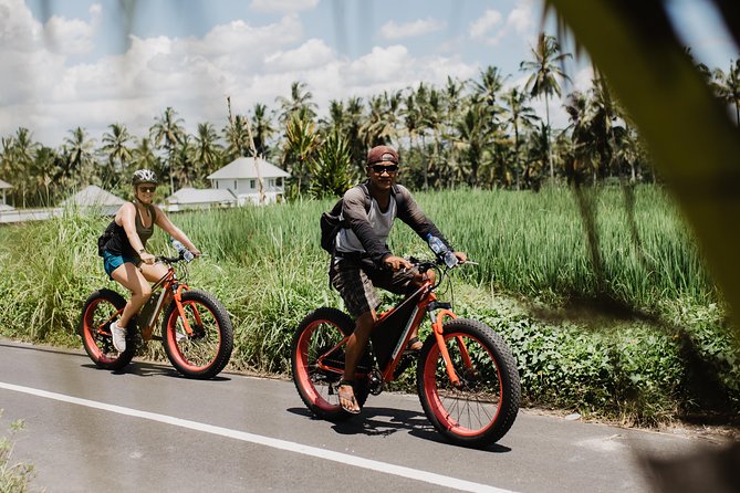 Private Fat Tire E-Bike Tour in Ubud - Practical tips to make your ride smoother