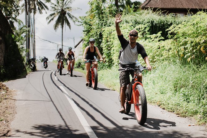 Private Fat Tire E-Bike Tour in Ubud - What the ride feels like: pace, roads, and the e-bike safety net