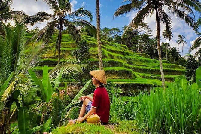 Private Full - Day Nusa Penida Island Tour - Rumah Pohon (Tree House) Near Atuh Beach: The Crowd Magnet