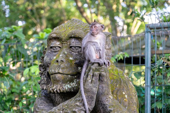Private Full-Day Tour: Balinese Temples and Rice Terraces - D Alas Warung jungle lunch with a view
