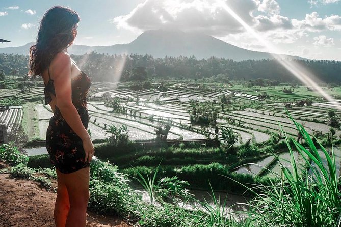 Private Full Day Tour: Best UNESCO Sites in Bali - Stop 2: Ulun Danu Bratan on Lake Beratan (Water Temple Energy)