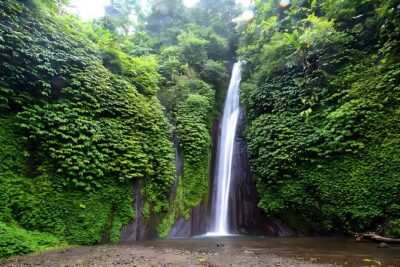 Private Full-Day Tour : North Bali Trip to Discover The Culture of Bali Island - Door-to-Door Pickup: How Logistics Shape Your Day