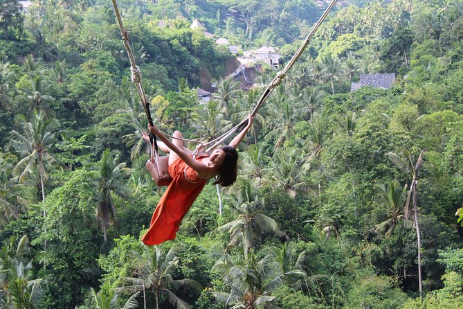 Private Full Day Tour to Ubud Highlights with Giant Swing - A stress-free private day from Seminyak