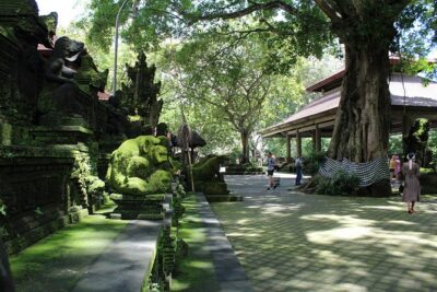 Private Full Day Tour to Ubud Highlights with Giant Swing - Sangeh Monkey Forest: giant pala trees and temple-feeling calm