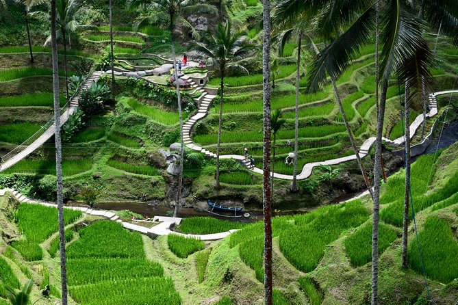 Private Full Day Tour to Ubud Highlights with Giant Swing - Tirta Empul Temple: watching real ritual and spring-water purification